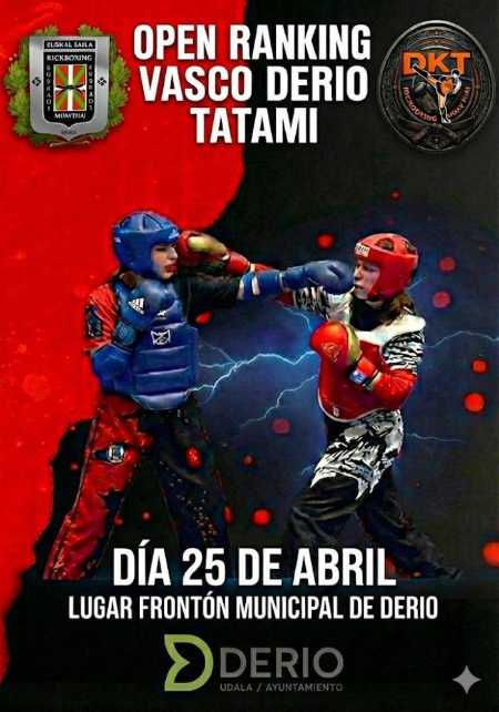 Cartel de Open de Tatami
